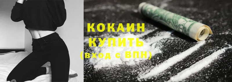 купить  цена  Зуевка  Cocaine VHQ 